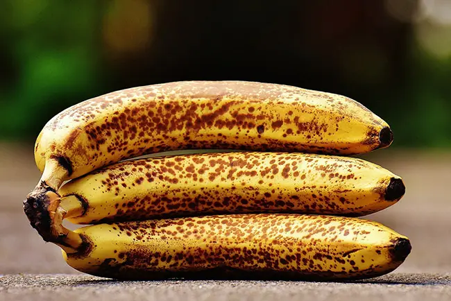 바나나가 노랗게 익은 다음 단계로 노란색 껍질에 갈색 주근깨가 박혀 있는 3개의 바나나
