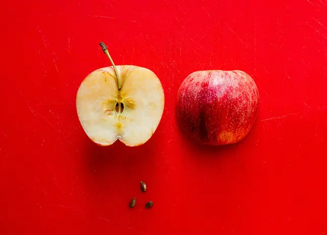 빨간 배경에 사과를 반으로 잘라서 각각 속과 바깥이 보이게 하고 사과 씨를 3개를 발라서 아래쪽에 배치해 놓은 모습