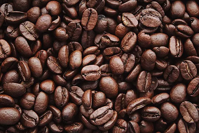잘 뽂아진 갈색 커피 원두에 은은한 채광이 깃들어 있는 장면