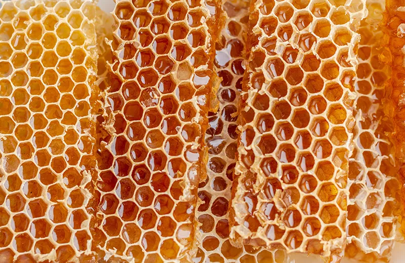 벌집 모양의 꿀